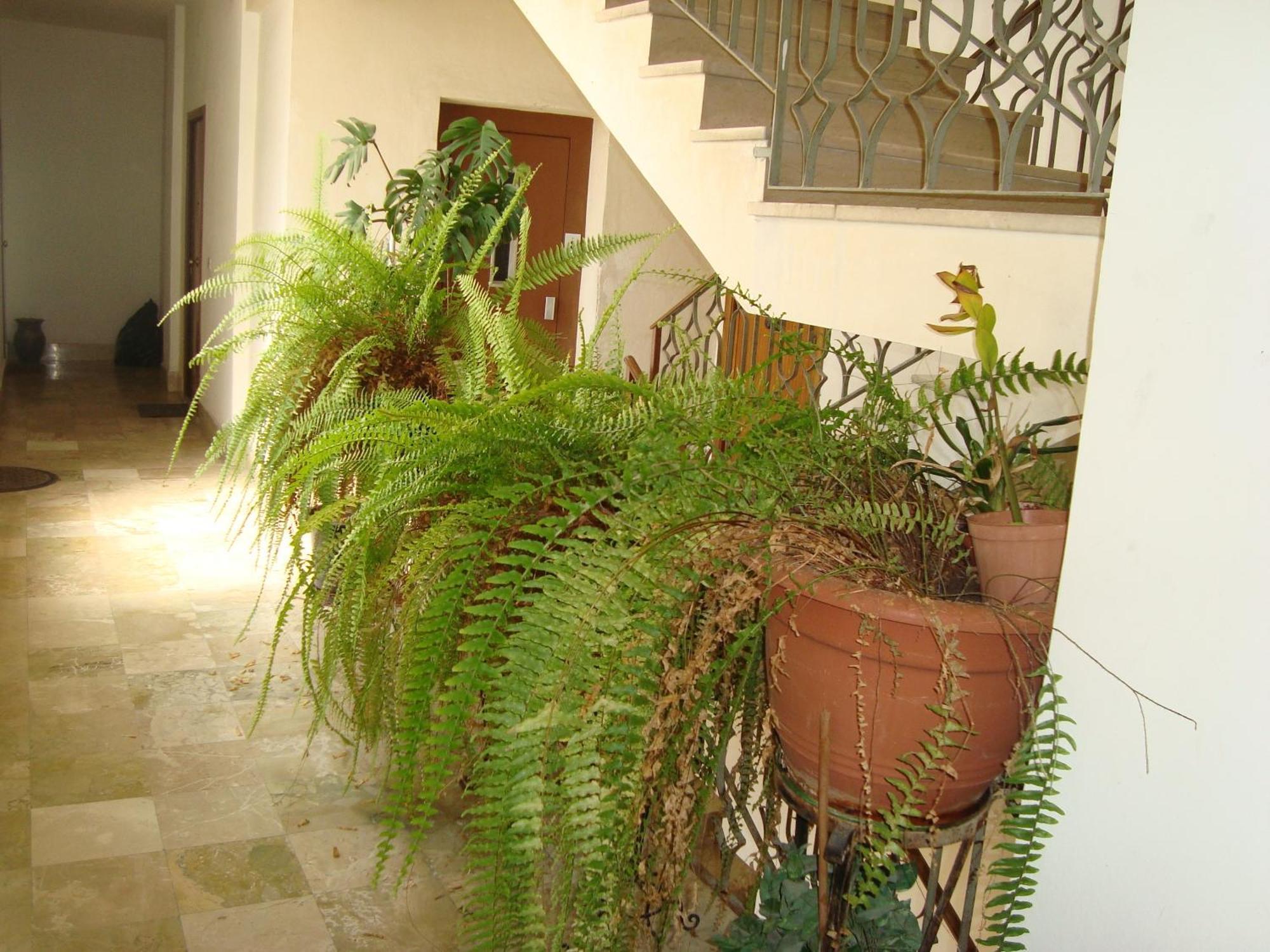 مبيت وإفطار أغريجنتو Antonio'S House المظهر الخارجي الصورة